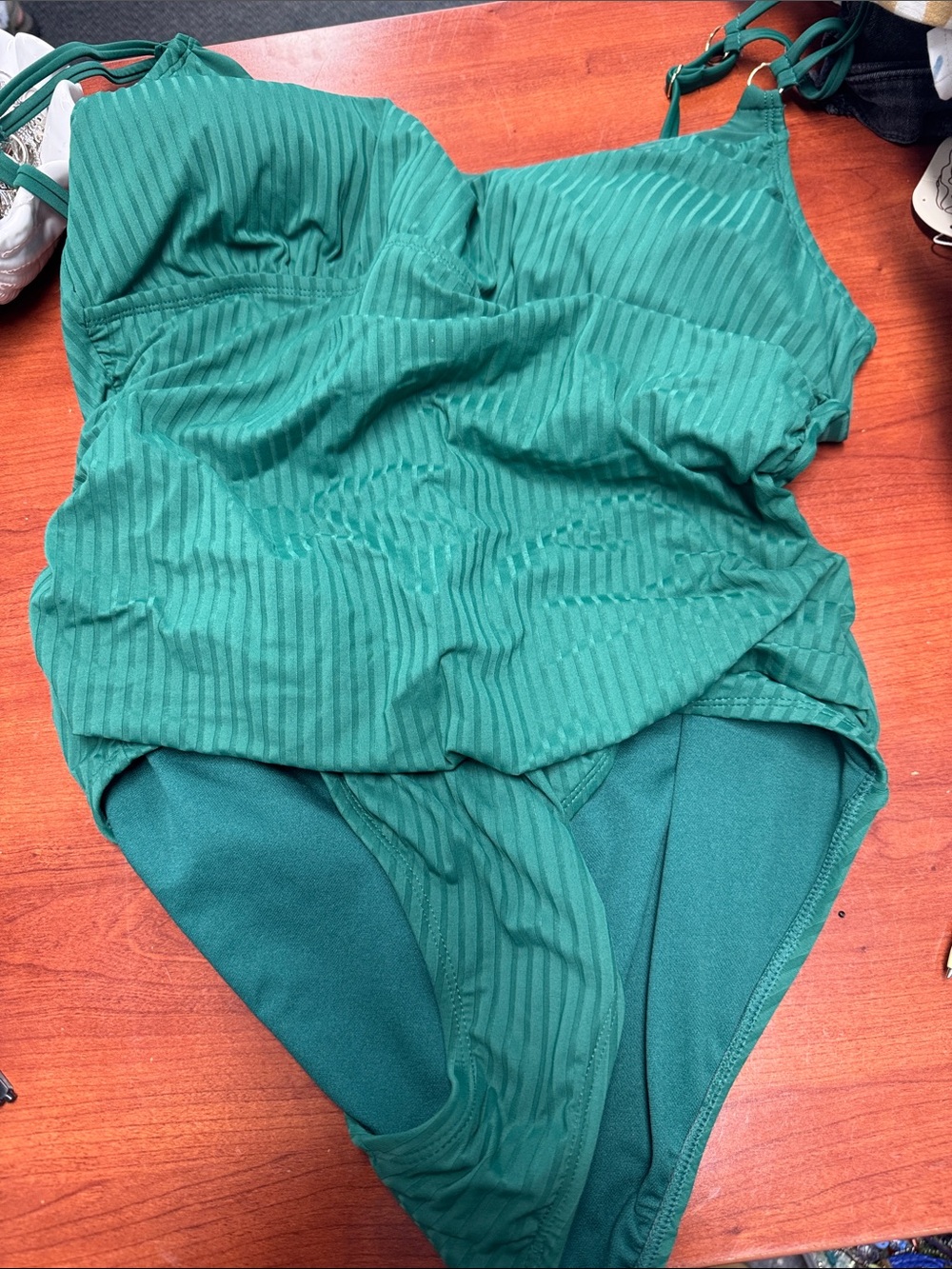Ellen Tracey swimsuit xxl // 100110